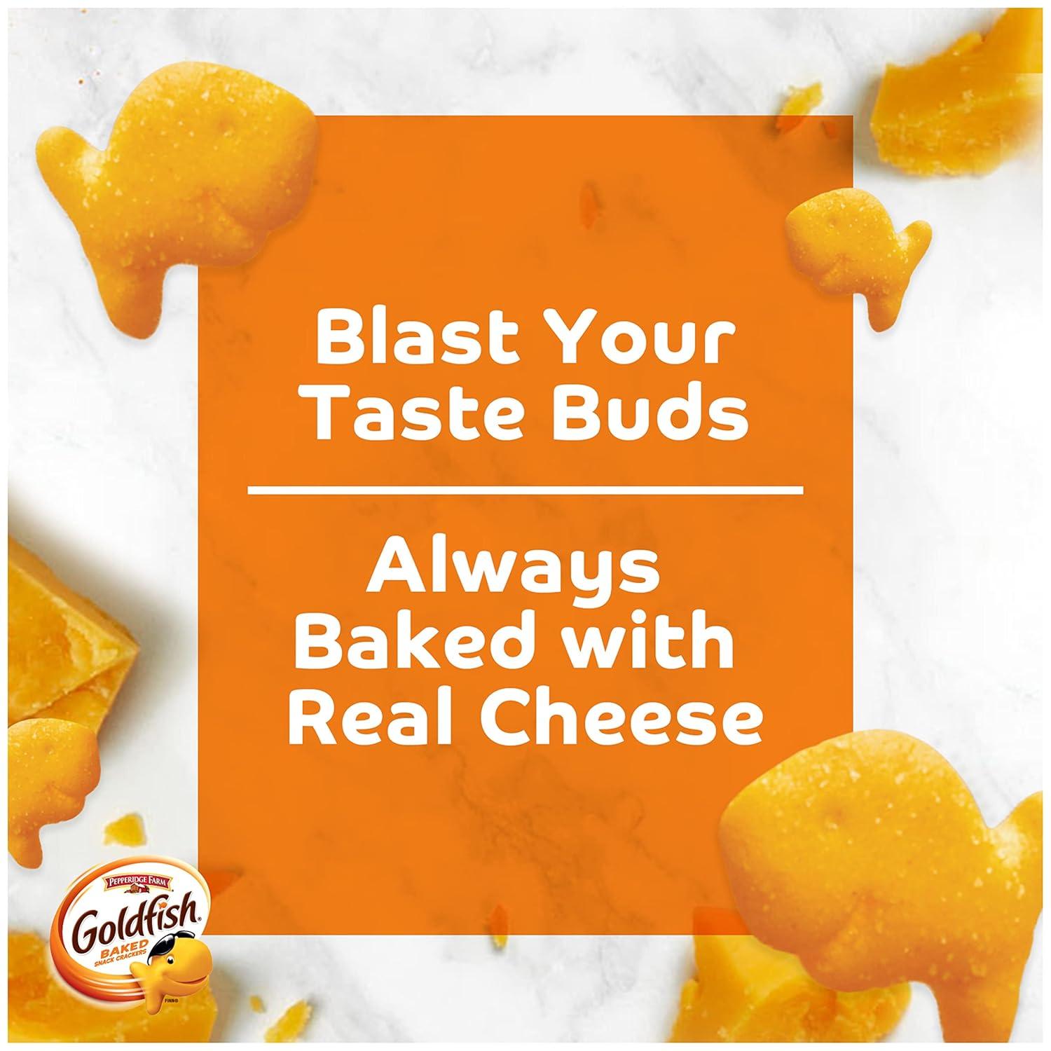 image:imageGoldfish Flavor Blasted Xtra Cheddar Cheese Crackers Baked Snack Crackers 30 Oz Carton